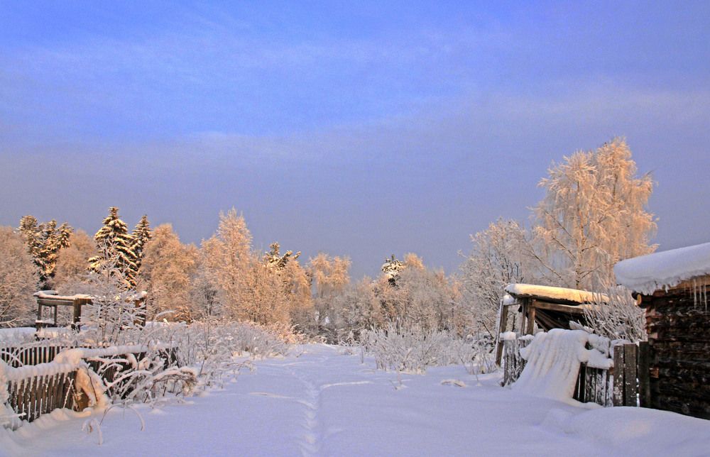 Photograph by Елена Маракулина