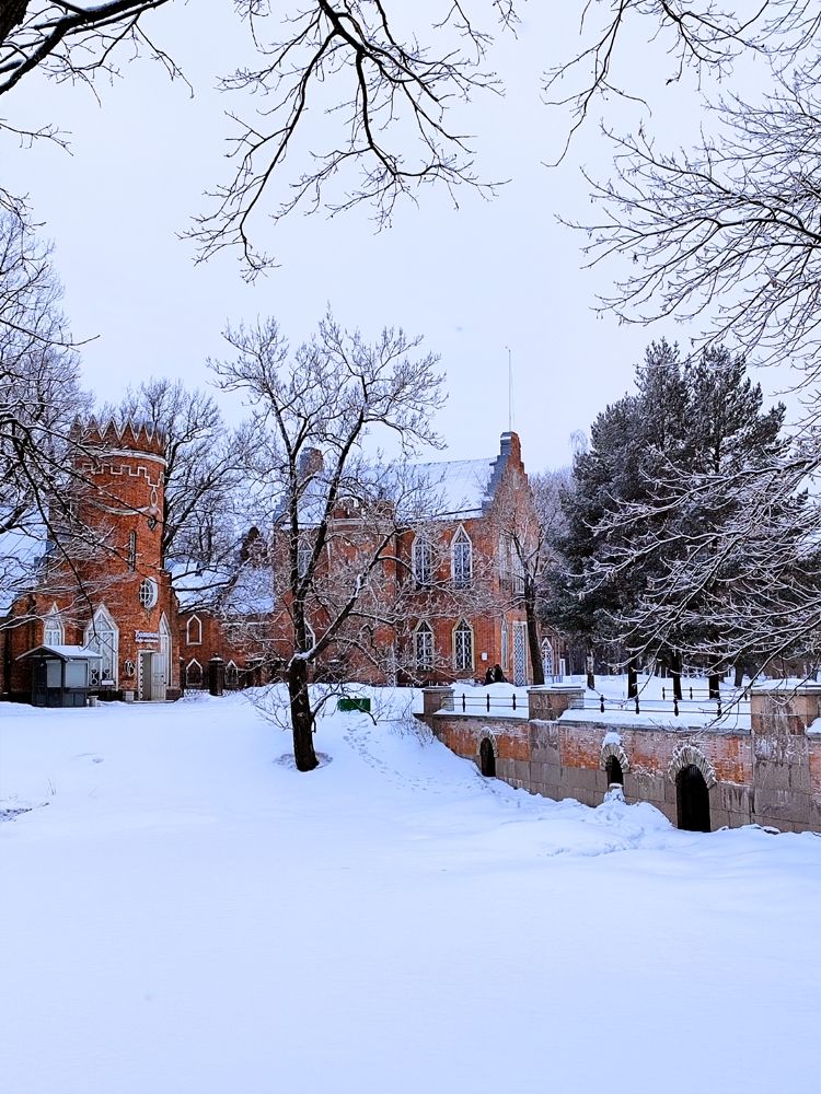 Фотография автора Татьяна Иванова