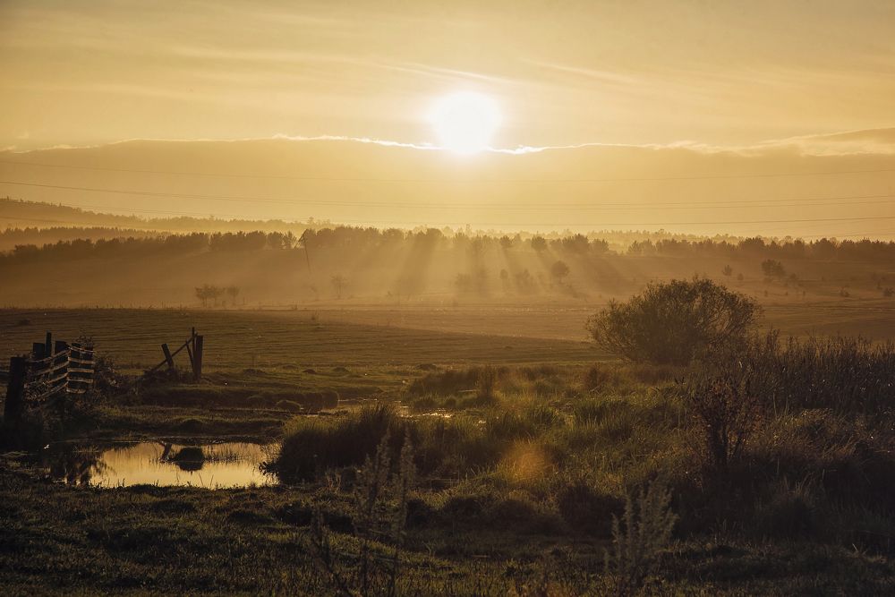 Photograph by Олеся