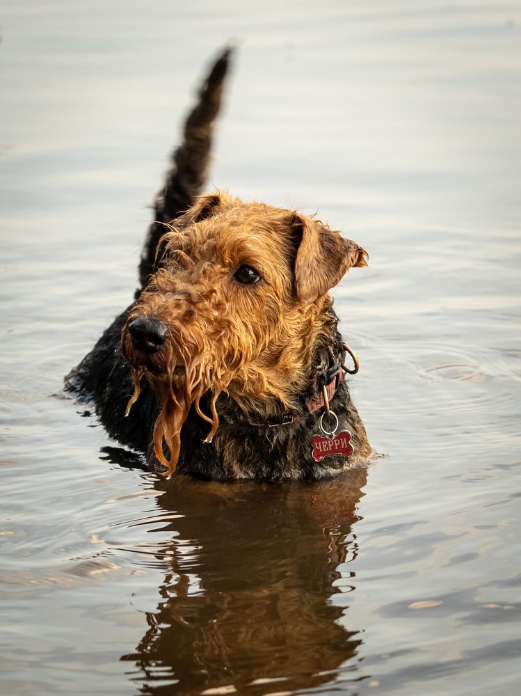 Photograph by Рина Серёгина