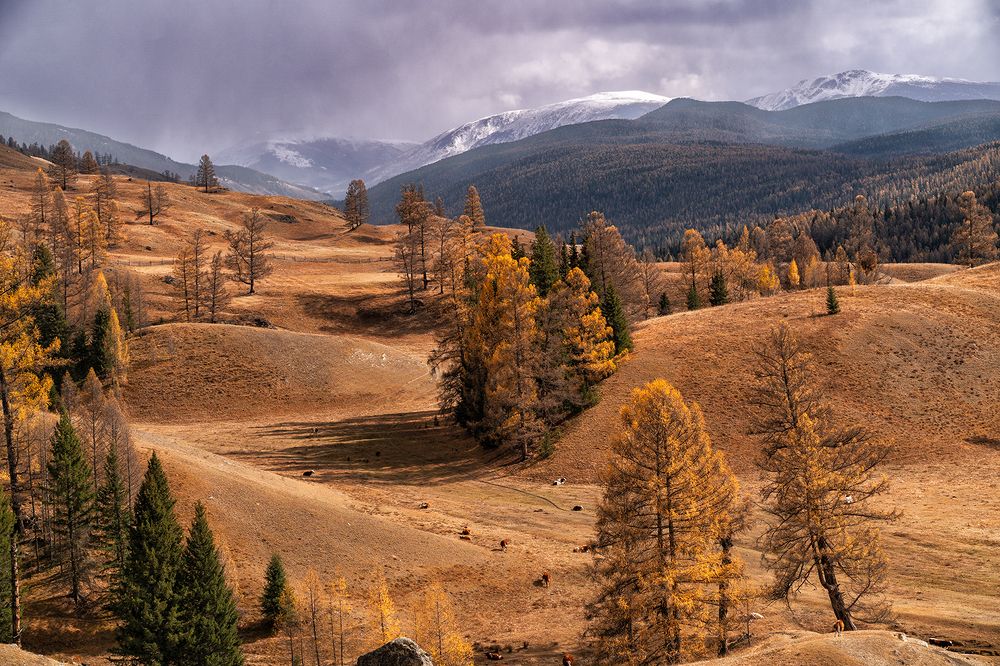 Photograph by Лариса Дука