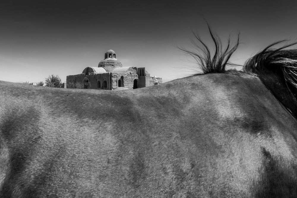 Photograph by majid hojati