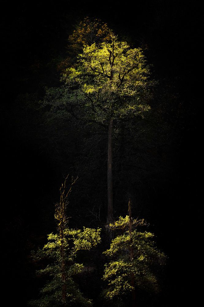 Photograph by majid hojati