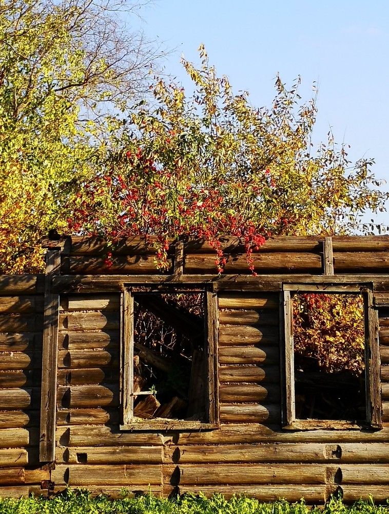 Photograph by Наталия Мельникова