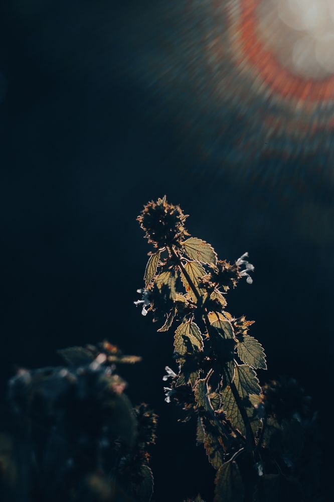 Photograph by Валентина Михайлова