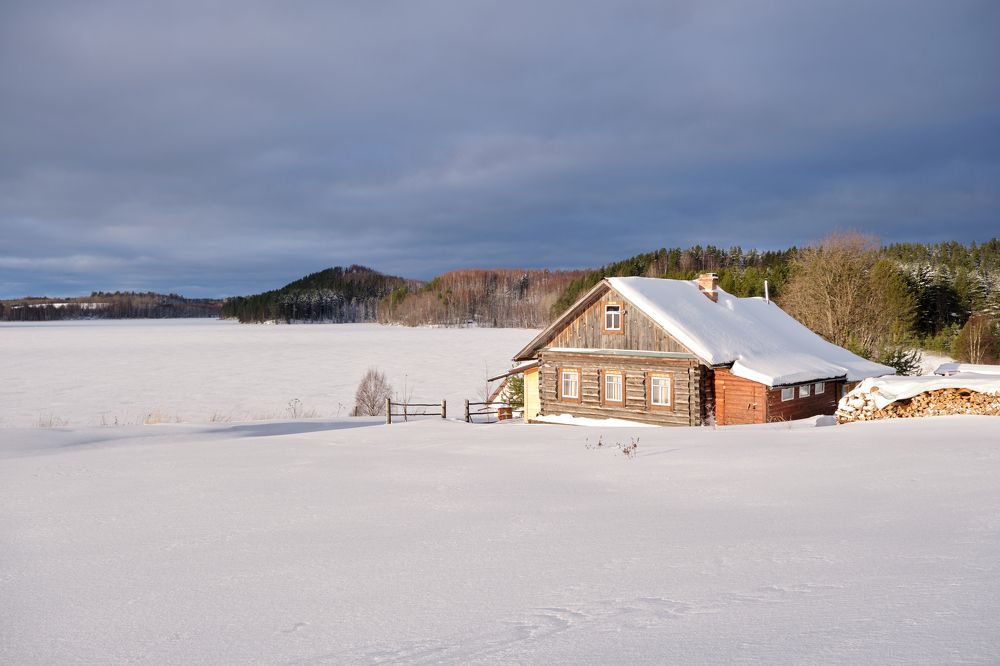 На берегу озера