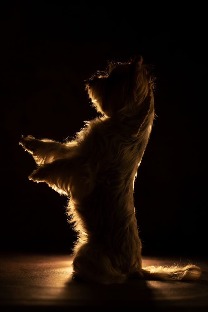 Photograph by Юлия Шатских