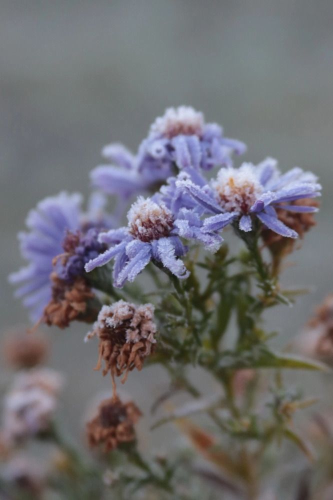 Photograph by Елена Рудкевич