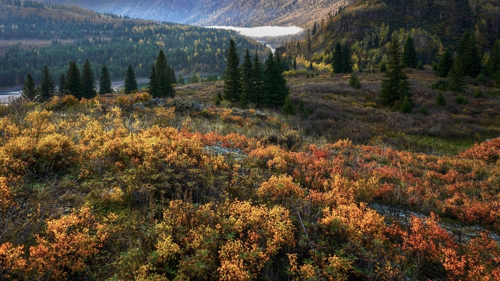 Photograph by Кузнецов Андрей