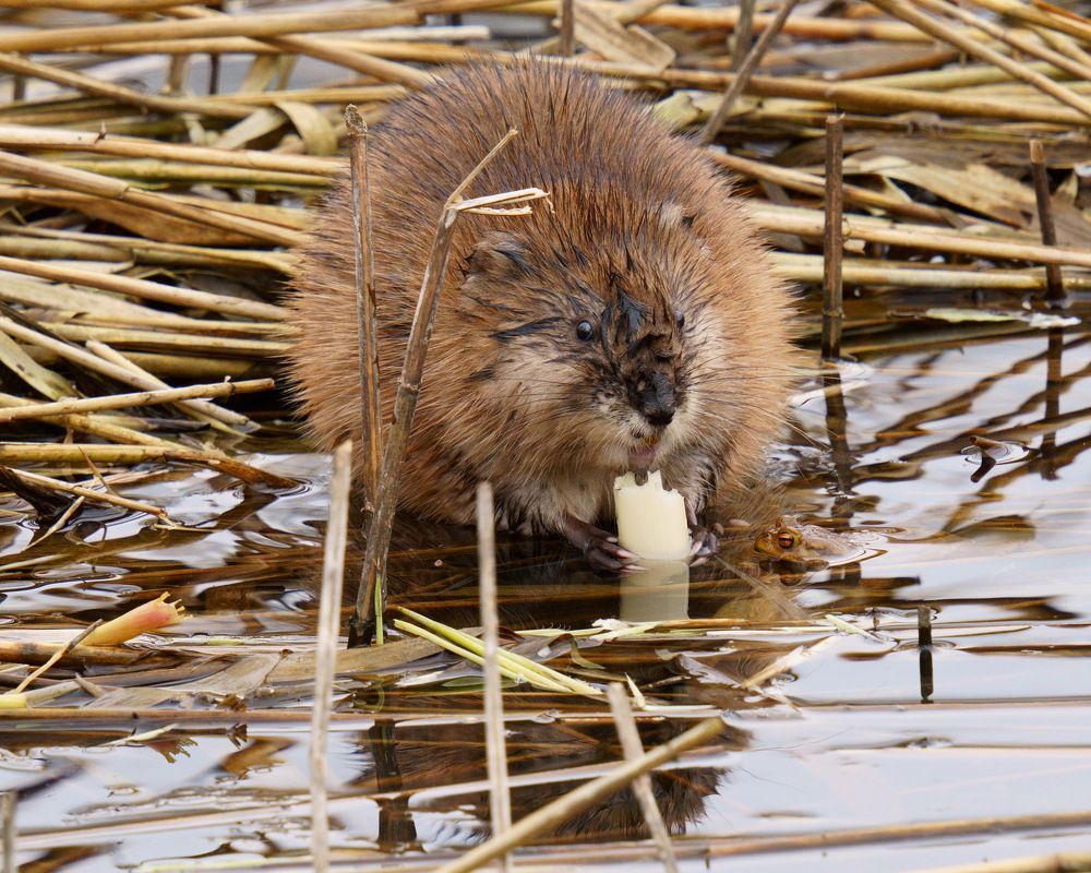 Photograph by Дмитрий Дрозд