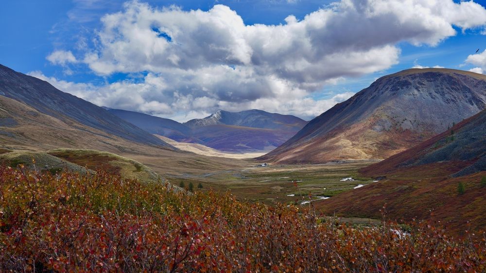 Photograph by Кузнецов Андрей