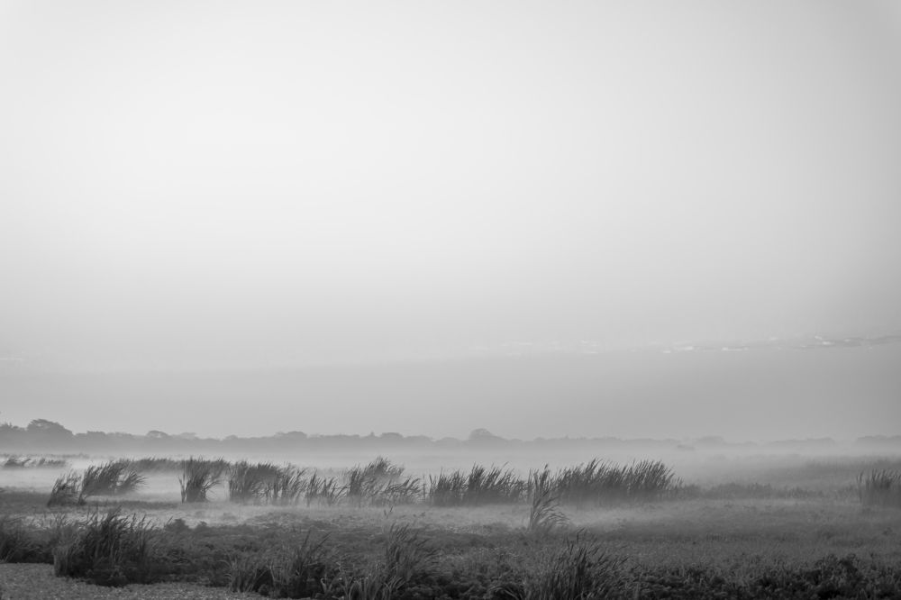 Photograph by Armando López-Guerrero