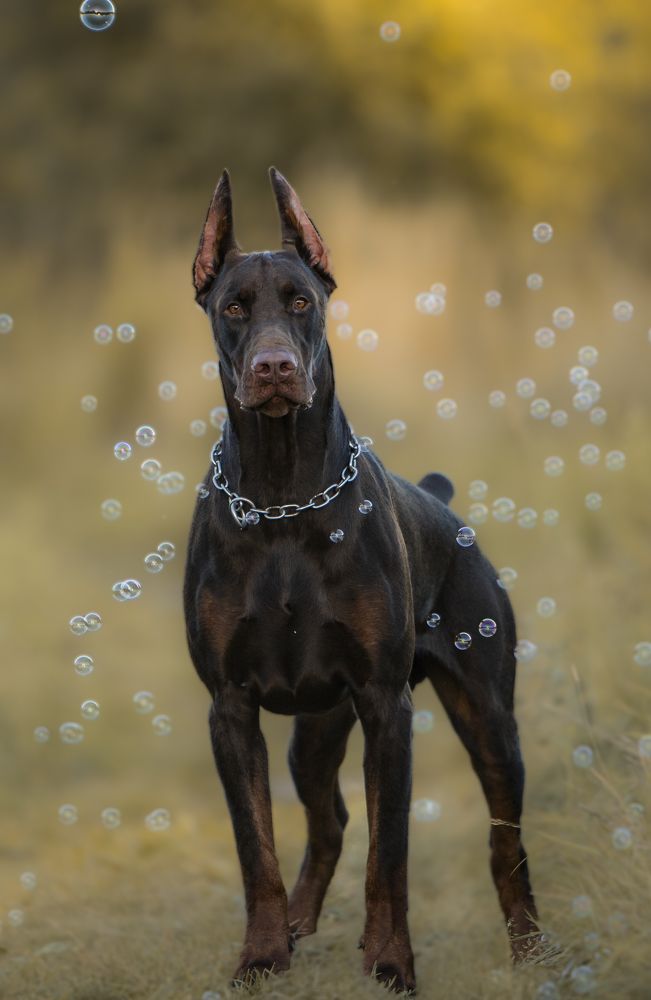 Photograph by Мария