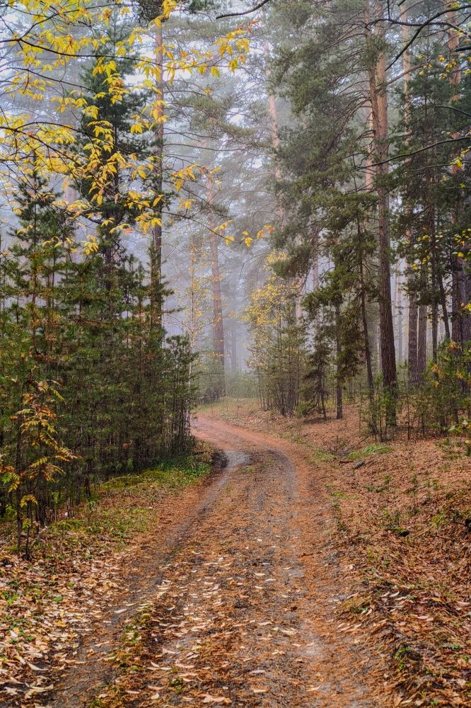 Photograph by Кузнецов Дмитрий