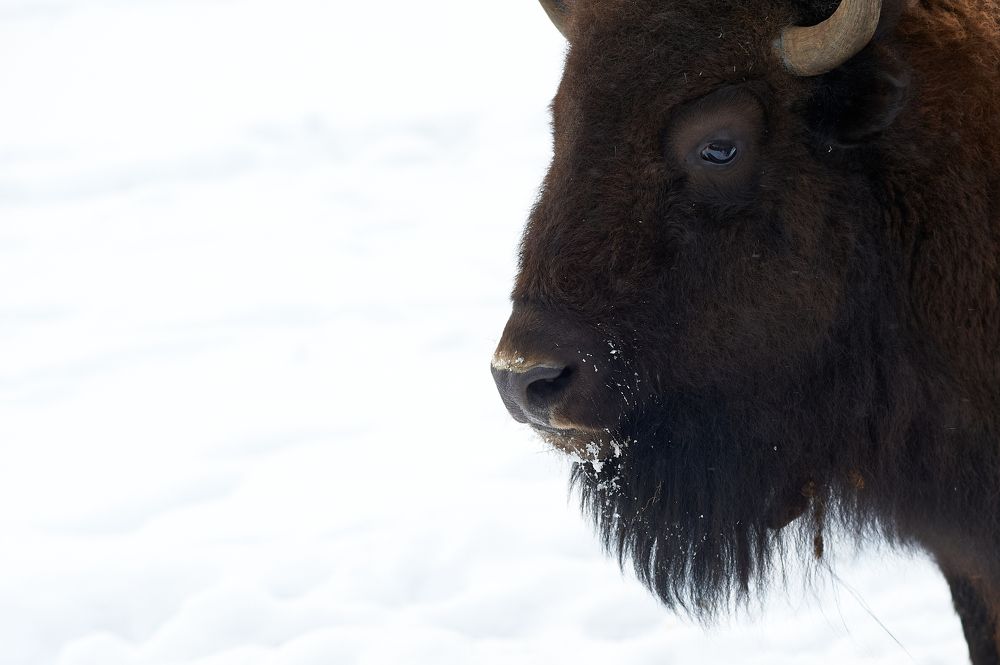 Photograph by Алексей Крылов