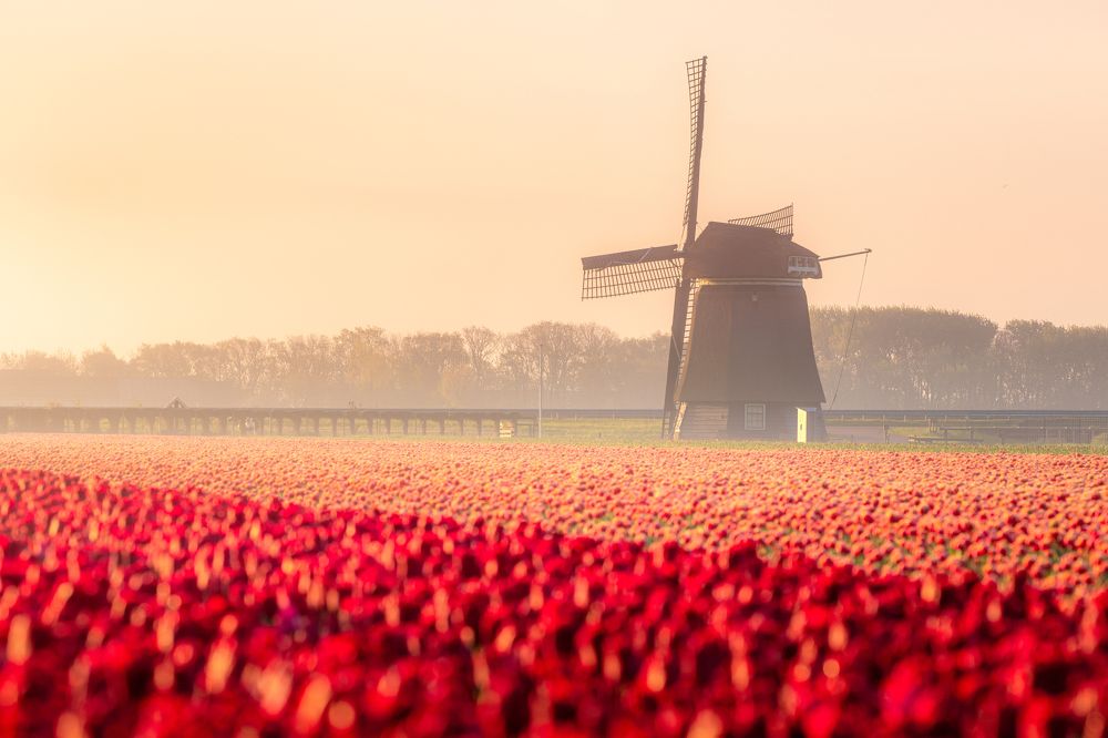 Photograph by Matteo Strassera