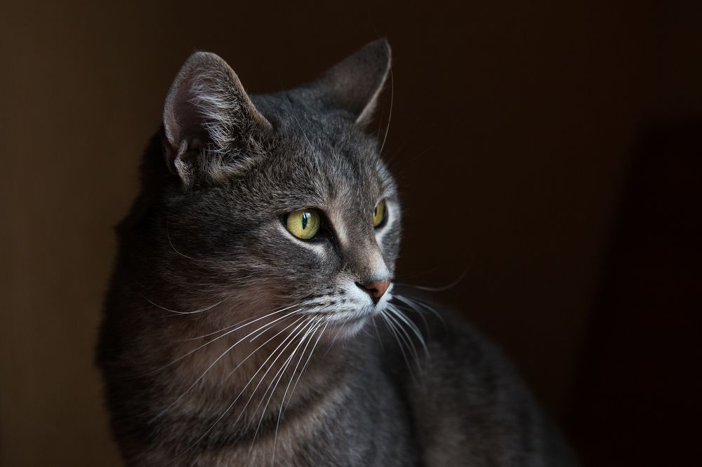 Photograph by Дина Горбачёва