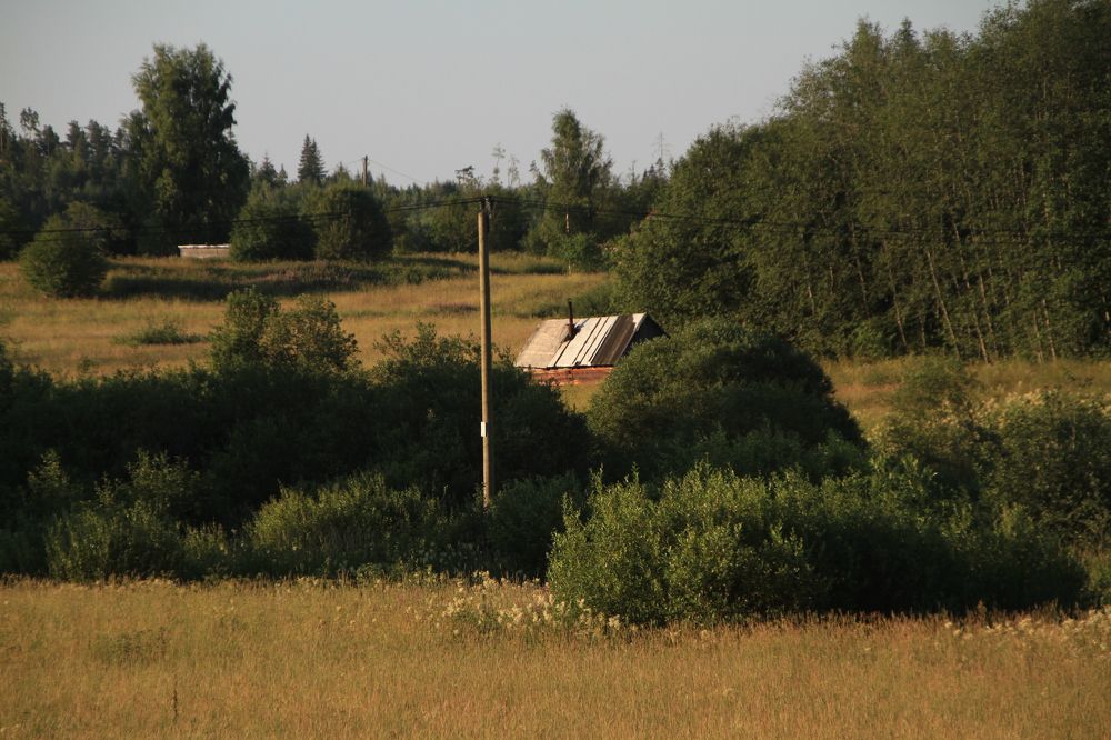 Фотография автора Анастасия Зверева