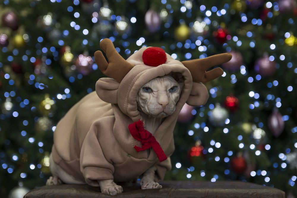 Photograph by Дина Горбачёва