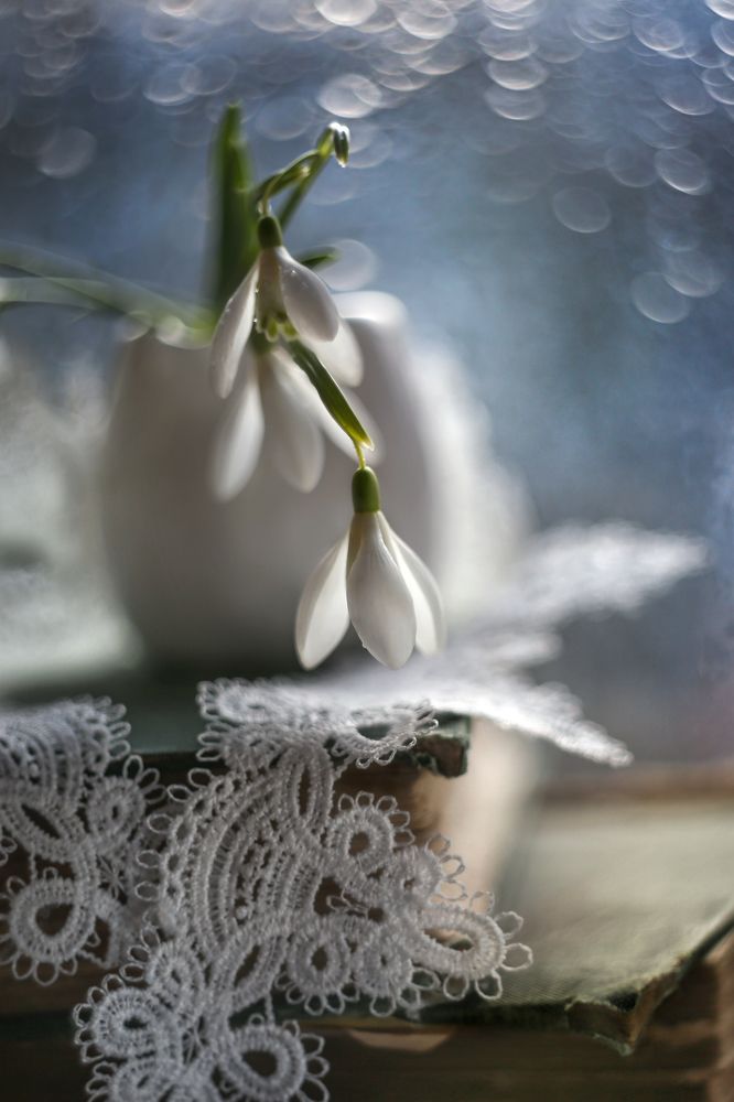 Пробуждение