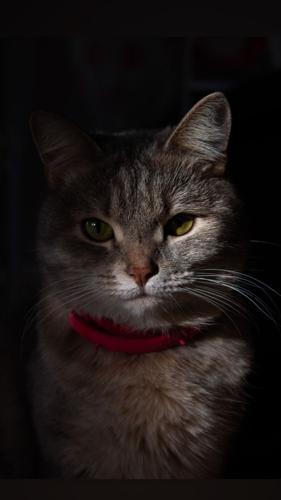 Photograph by Ирина Вепринцева