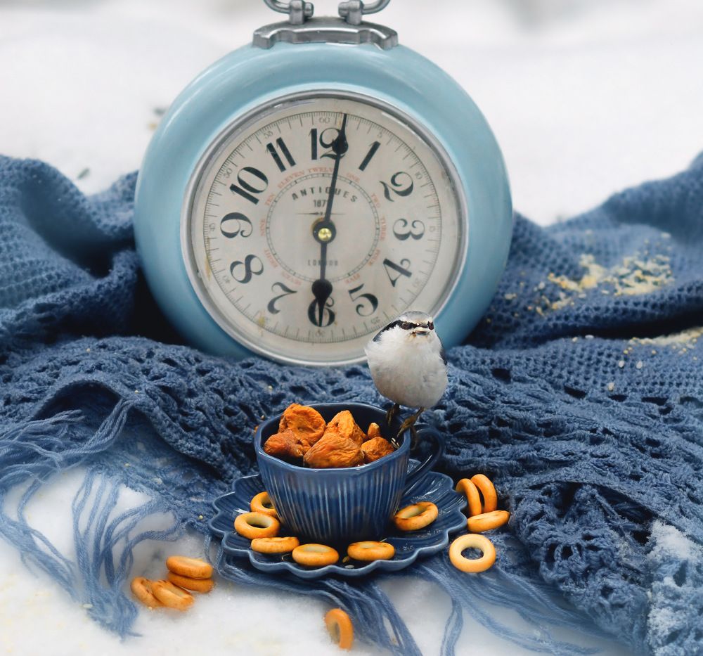 Photograph by Marina Ivanova