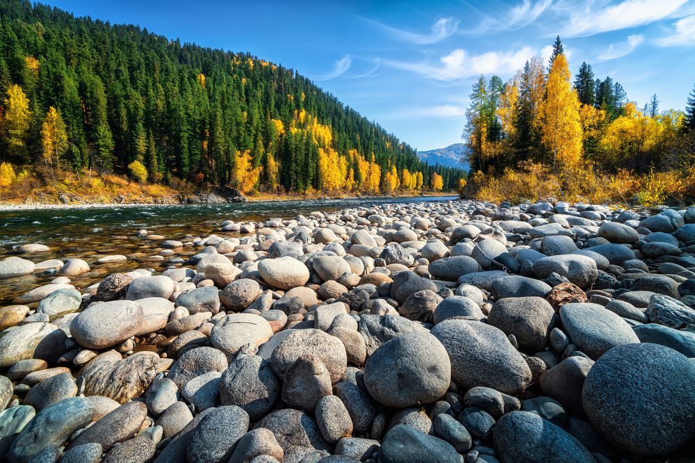 Золотая осень в тайге Западных Саян.