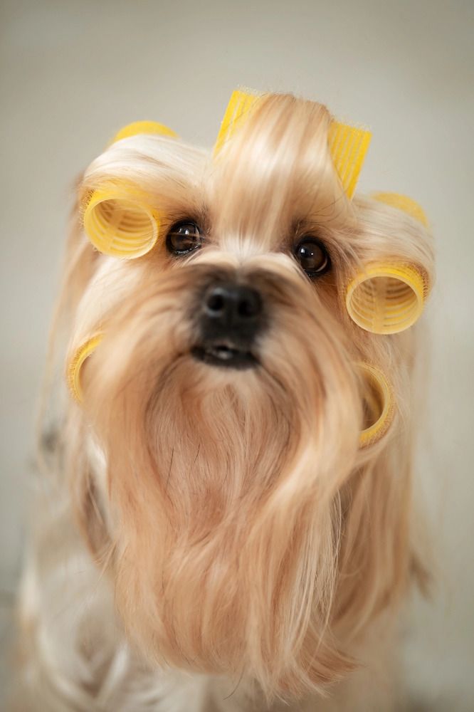 Photograph by Юлия Шатских