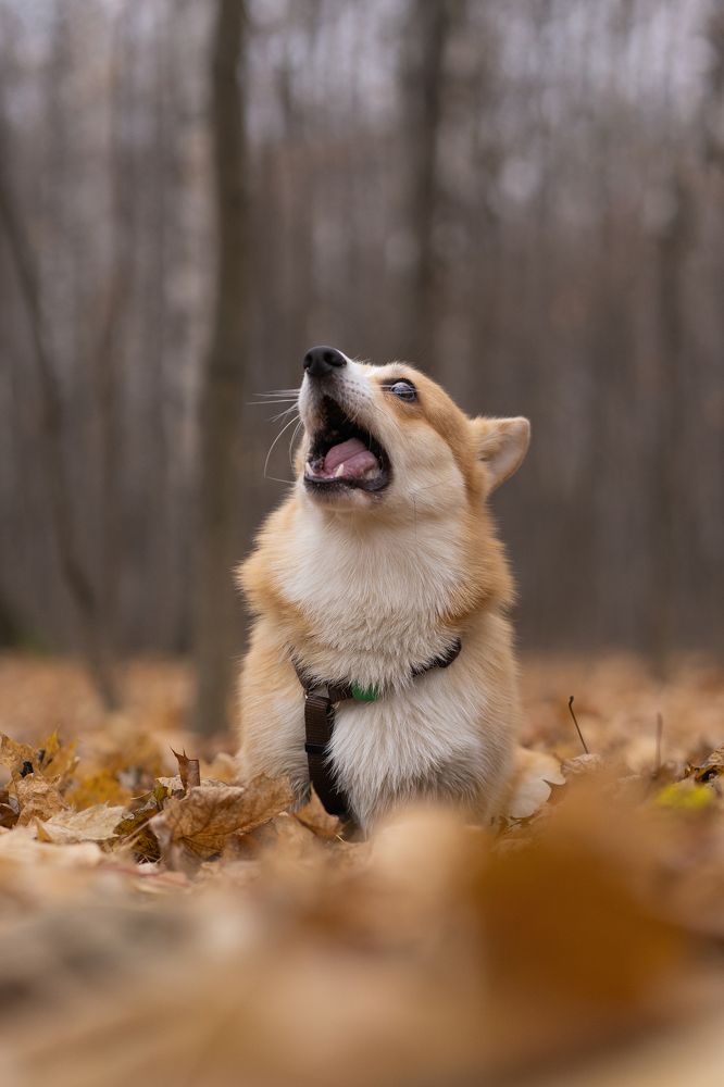 Photograph by Анна Полушина