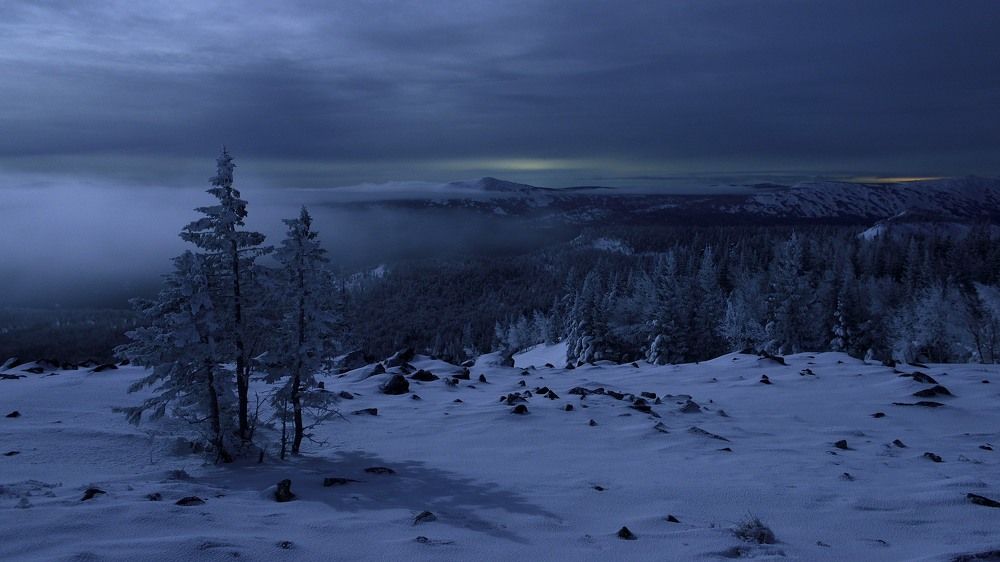 Тихая ночь.