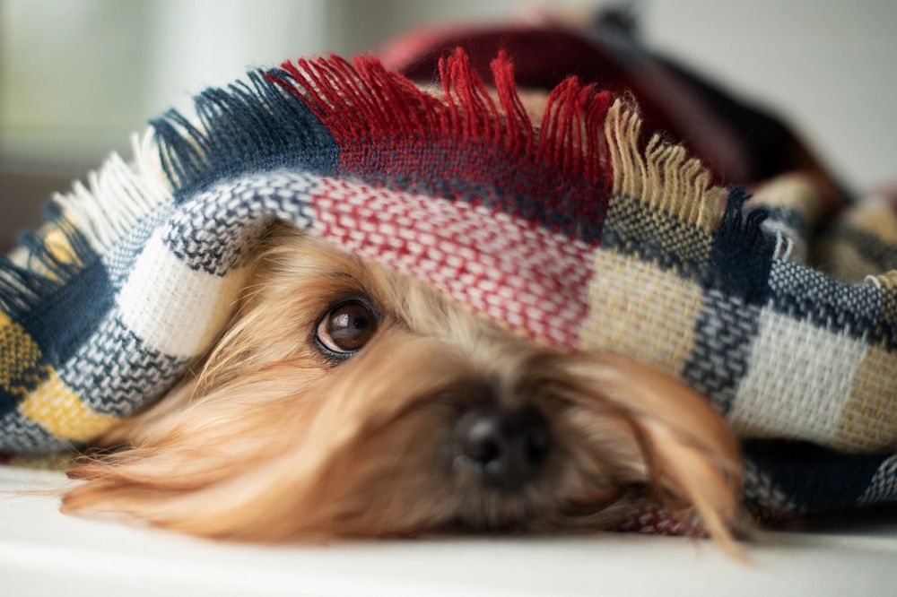 Photograph by Юлия Шатских