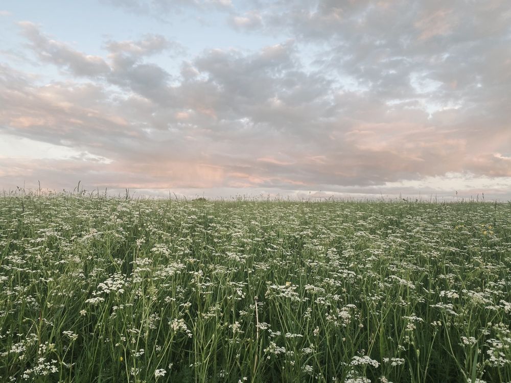 Photograph by Мария