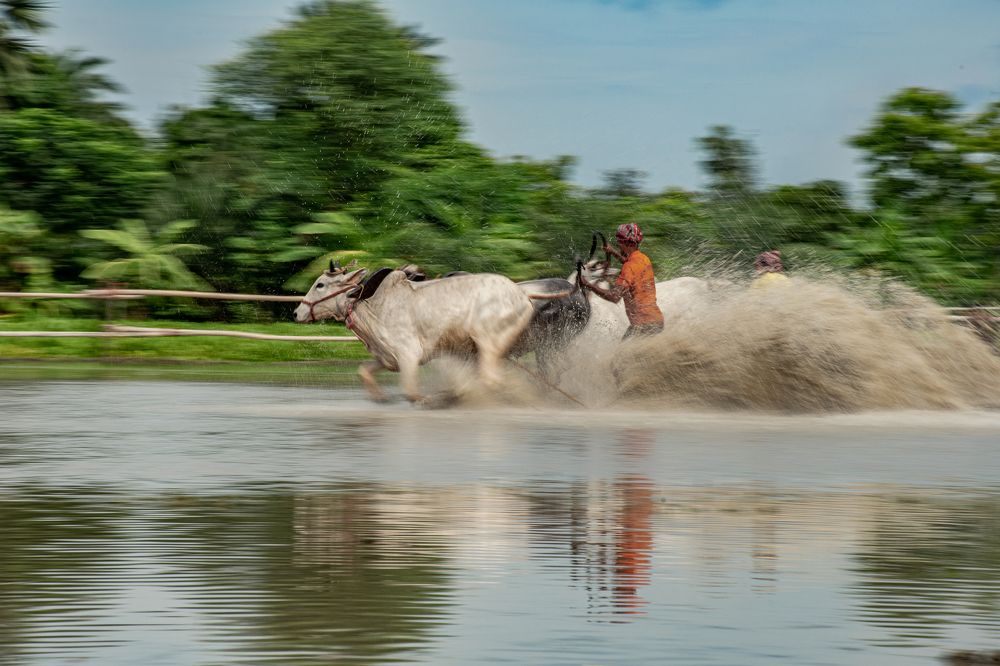 Photograph by Utsab Dhara