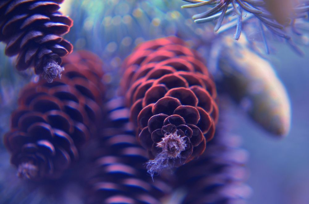 Photograph by Наталья Иванова