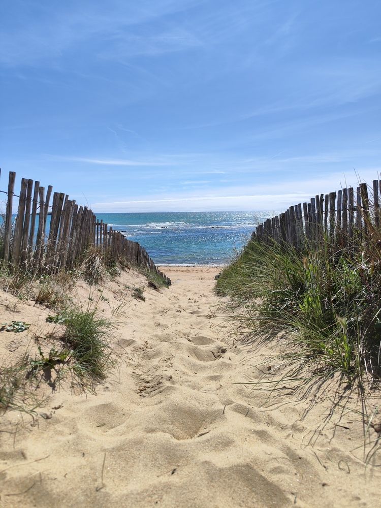 Photograph by Александра