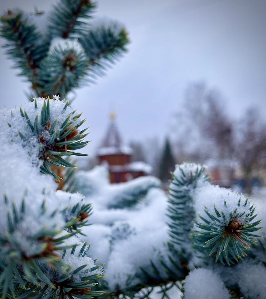 Photograph by Светлана Хохлова