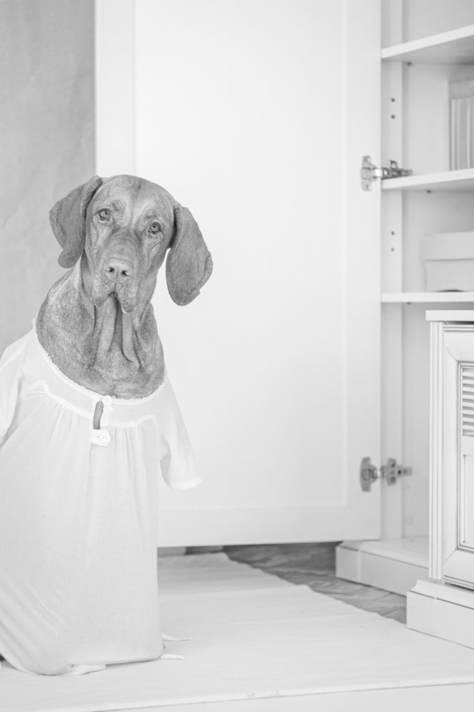 Photograph by Эльнара Исаева