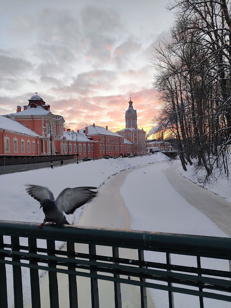Фотография автора Татьяна Иванова