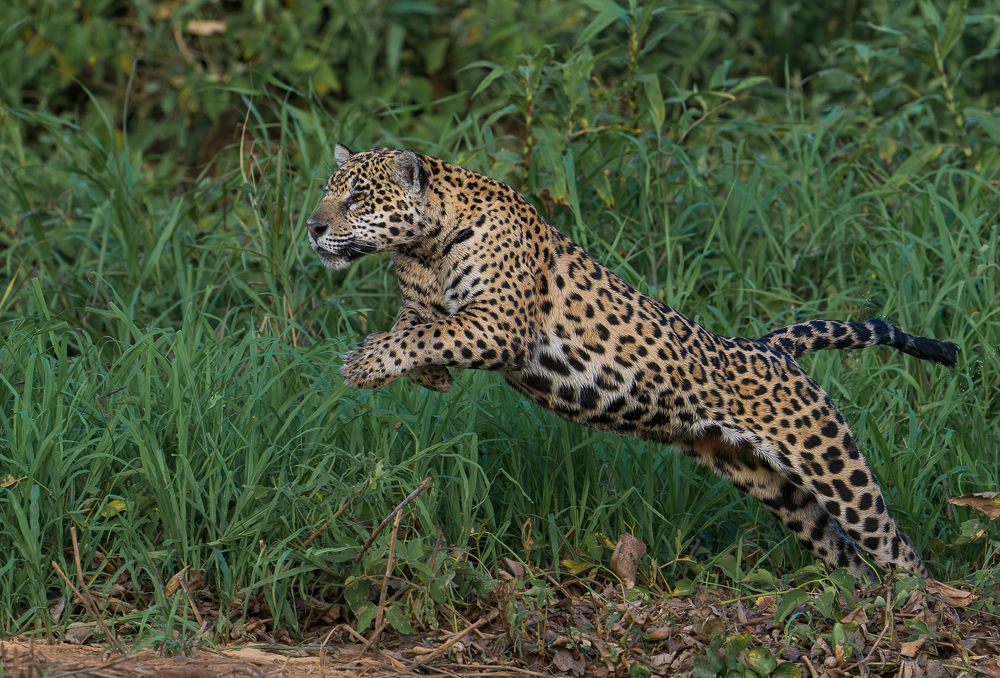 Photograph by Turgay Uzer