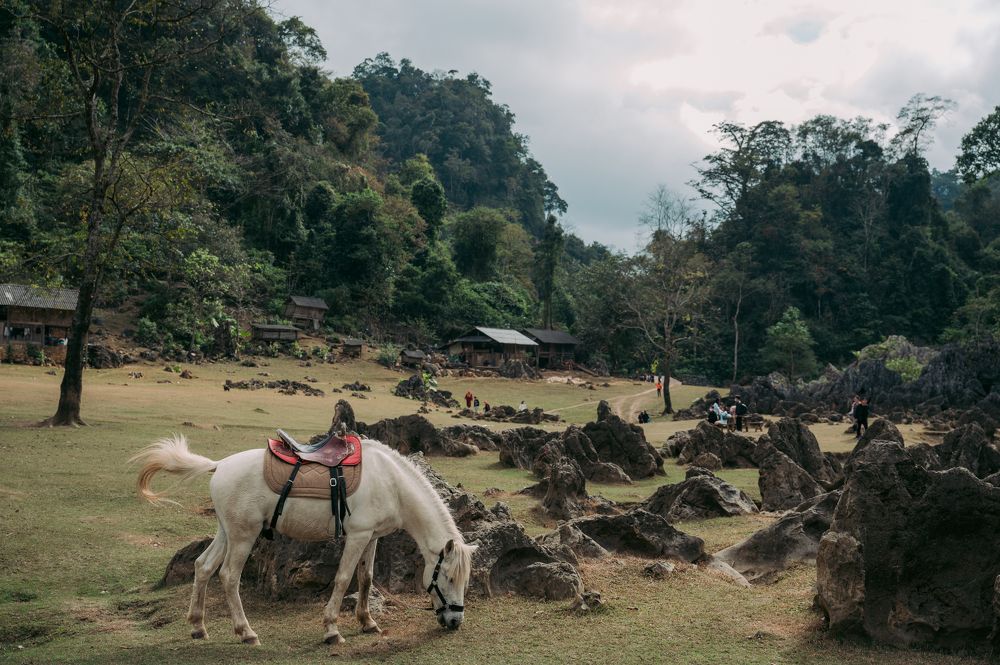 Photograph by Tuan Anh Pham