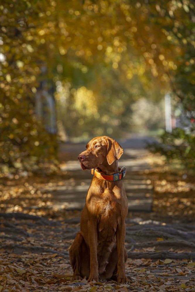 Photograph by Эльнара Исаева