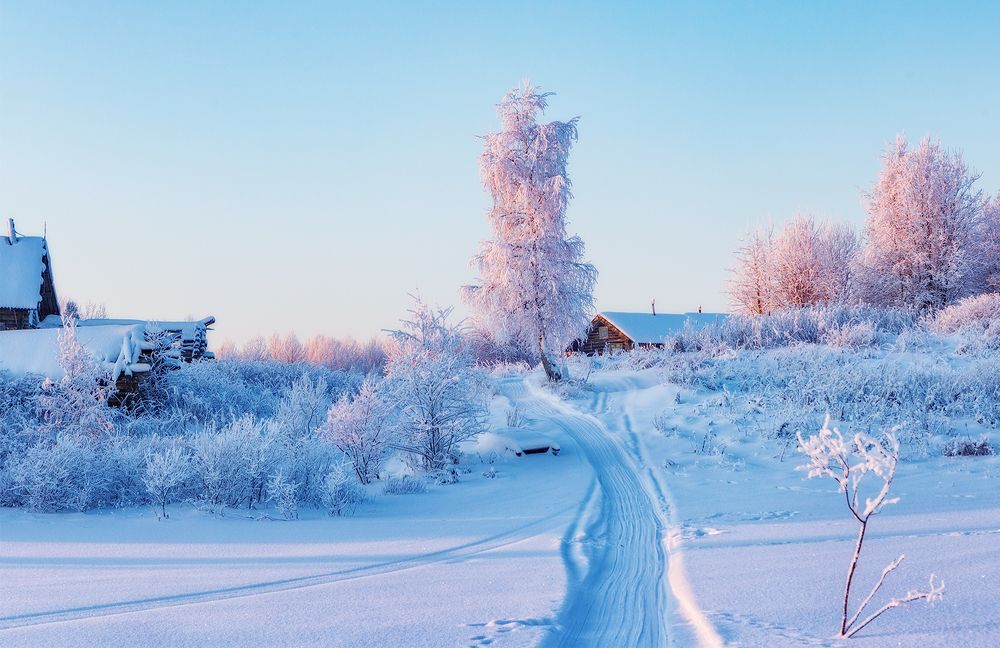 Photograph by Липецких Владимир