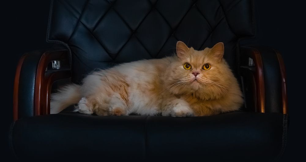 Фотография автора Vadim Svirin