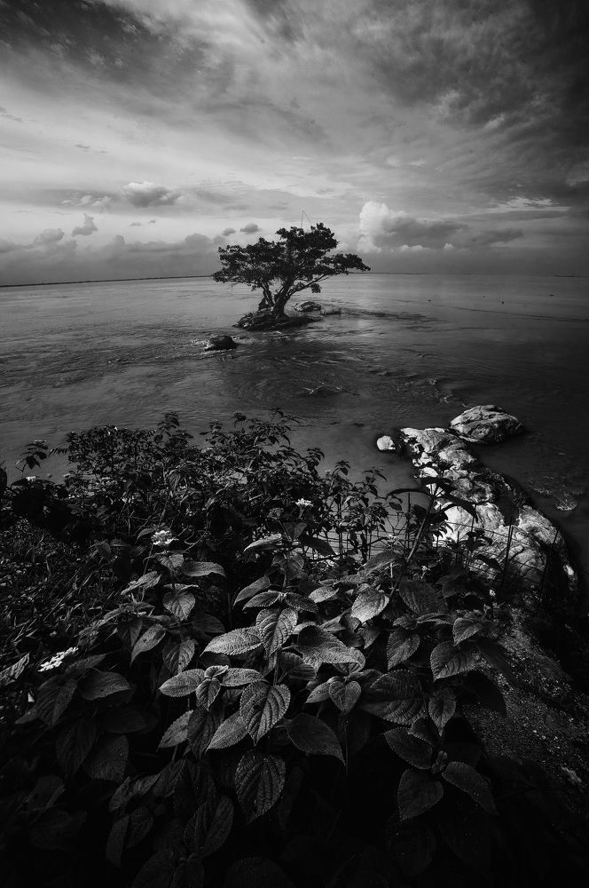 Photograph by Niranjan Baishya