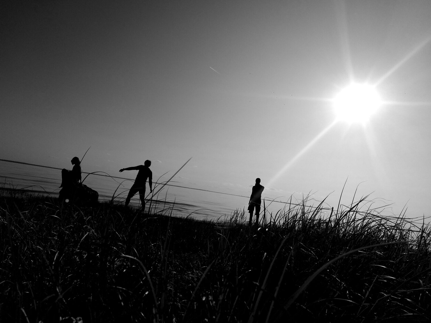 Photo #10298514
