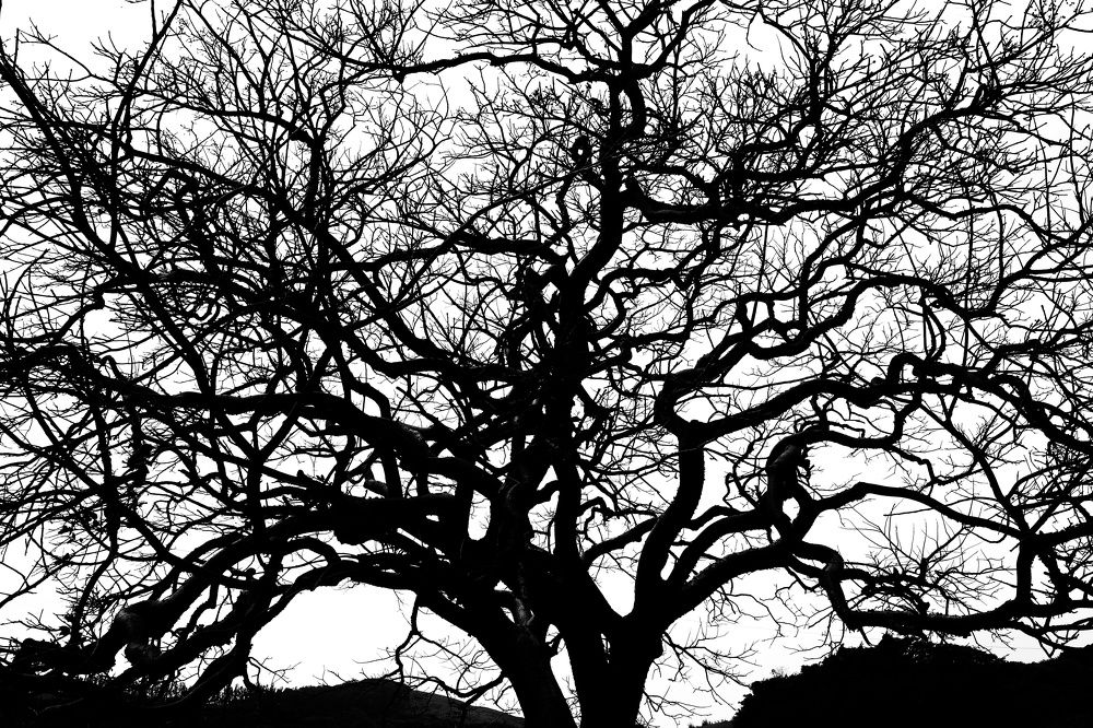 Photograph by Ulises Pintos