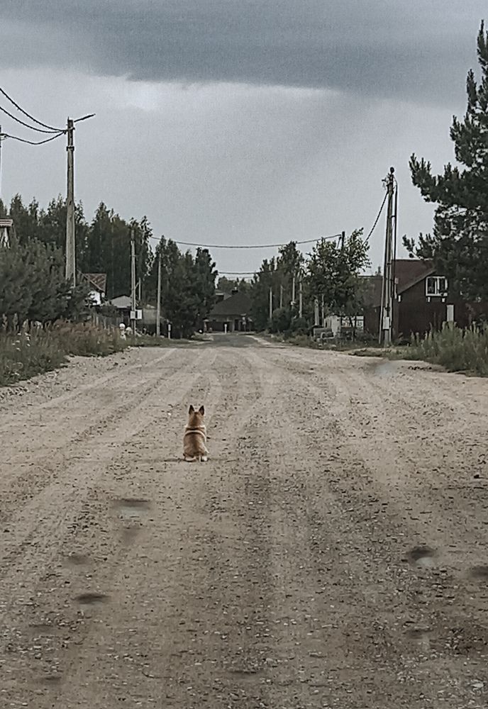 Photograph by Наталья