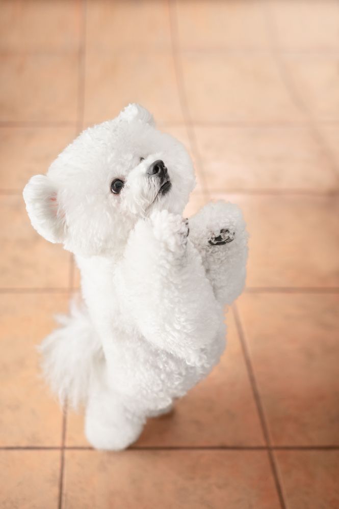 Photograph by Patricia Barros