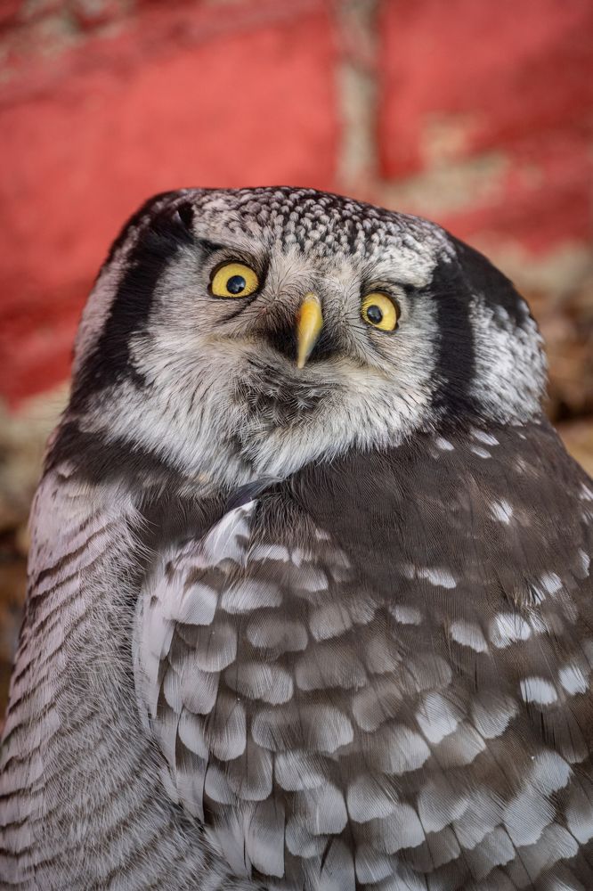 Photograph by Высотских Владимир