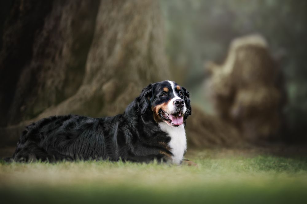 Photograph by Patricia Barros